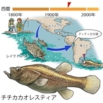 ⓒ川崎悟司