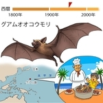 ⓒ川崎悟司