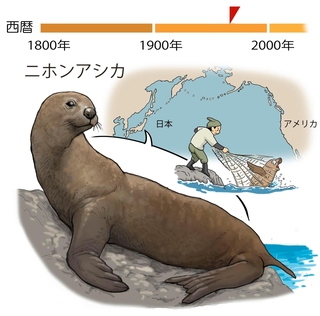 ⓒ川崎悟司