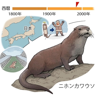 ⓒ川崎悟司