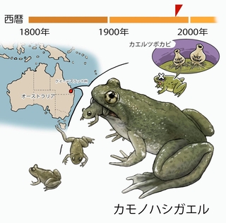 ⓒ川崎悟司