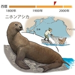 ⓒ川崎悟司