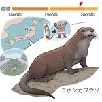 ⓒ川崎悟司