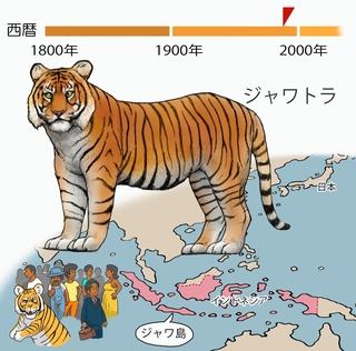 ⓒ川崎悟司