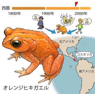ⓒ川崎悟司