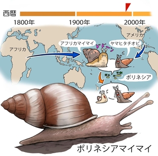 ⓒ川崎悟司