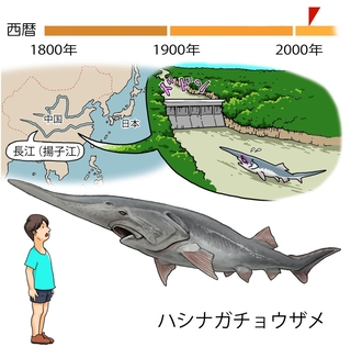ⓒ川崎悟司