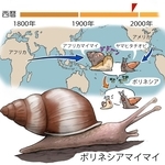 ⓒ川崎悟司