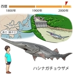 ⓒ川崎悟司
