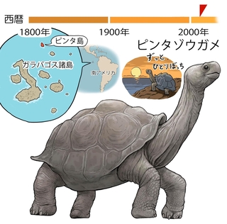 ⓒ川崎悟司
