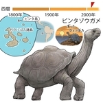 ⓒ川崎悟司