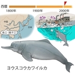 ⓒ川崎悟司