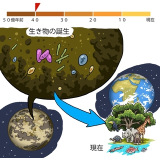 ⓒ川崎悟司
