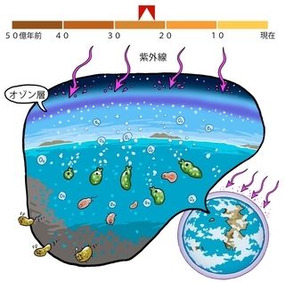 ⓒ川崎悟司