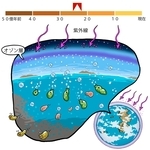 ⓒ川崎悟司