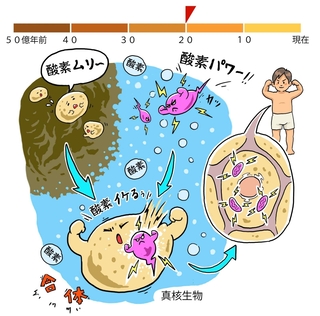 ⓒ川崎悟司