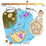 ⓒ川崎悟司