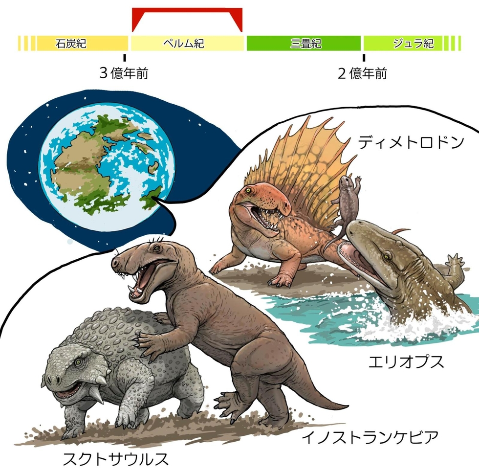 ＜地球の事件簿＞（27）「単弓類」 …