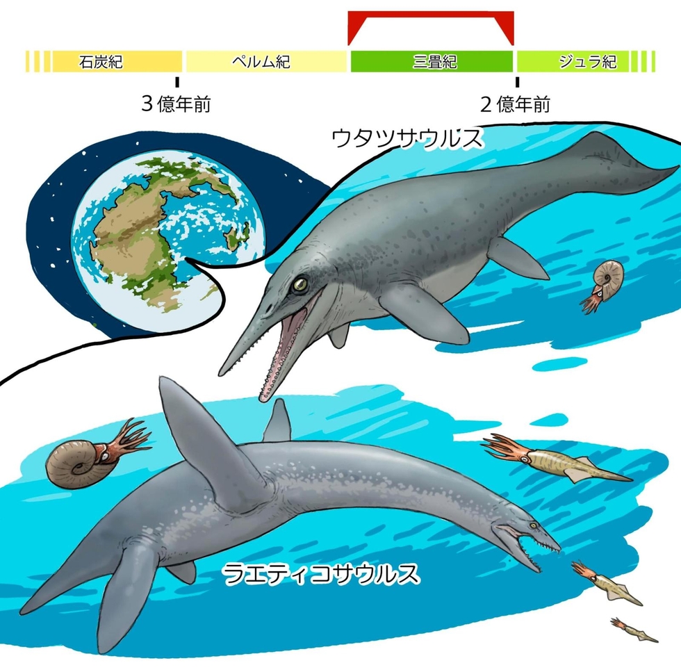 地球の事件簿＞（30）魚竜、首長竜の登場 大量絶滅から立ち直る|まな