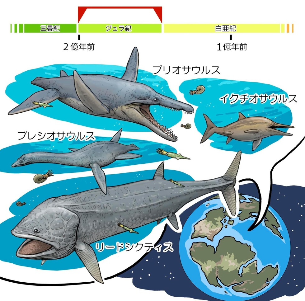 地球の事件簿＞（36）魚竜、首長竜の繁栄 巨大な魚も現れる|まなびー