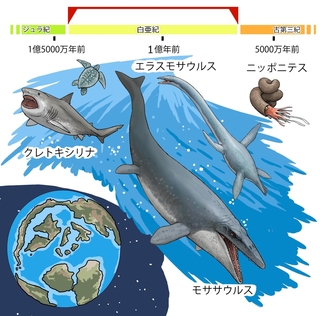 ⓒ川崎悟司