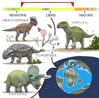 ⓒ川崎悟司