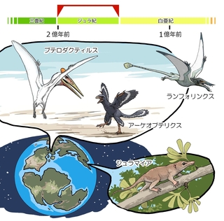 ⓒ川崎悟司