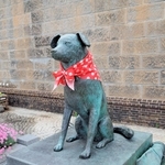 首にバンダナを巻いた消防犬ぶん公の銅像＝北海道小樽市