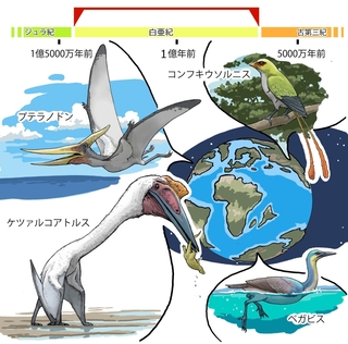 ⓒ川崎悟司