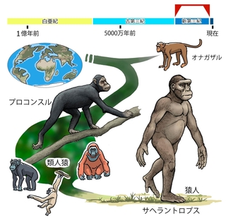 ⓒ川崎悟司