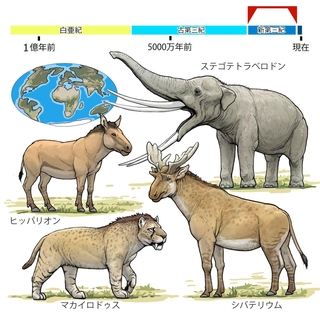 ⓒ川崎悟司