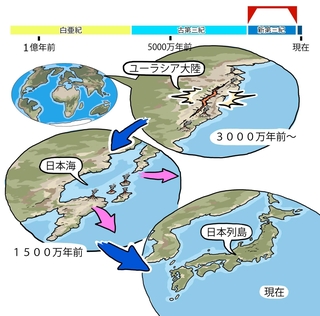 ⓒ川崎悟司
