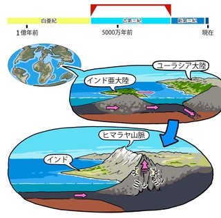 ⓒ川崎悟司