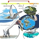 ⓒ川崎悟司