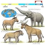 ⓒ川崎悟司