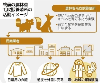 戦前の農林省毛皮獣養殖所の活動イメージ