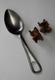 加武三代子さんが引き揚げ船の船員からもらったスプーンと、持ち帰った大蛇の骨