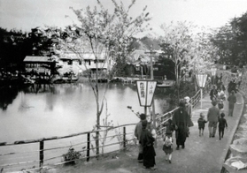 大きな池沿いに遊歩道が整備され、ぼんぼりが立つ「丸山遊園地」（神戸アーカイブ写真館提供）