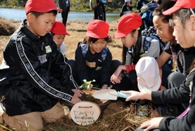 長田南部の街中に緑を増やそうと、苗木を鉢に植える児童たち＝獅子ケ池ふれあい市民緑地