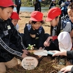 長田南部の街中に緑を増やそうと、苗木を鉢に植える児童たち＝獅子ケ池ふれあい市民緑地