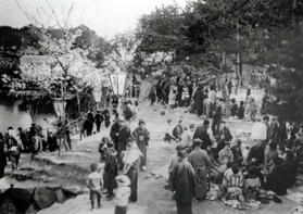 花見客でにぎわう当時の丸山遊園地の様子（神戸アーカイブ写真館提供）