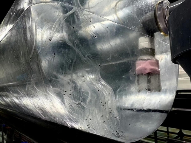 ウナギの完全養殖が、商業化に向け動き出した