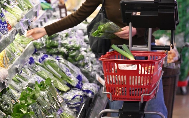 スーパーの野菜売り場