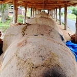 １８９５年に造られた丹波焼最古の登り窯＝篠山市今田町上立杭