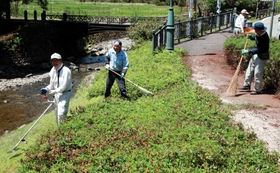 神子畑鋳鉄橋（奥）周辺の清掃に取り組む協議会メンバー＝朝来市佐〓※〓は「嚢」の旧字体