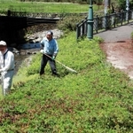 神子畑鋳鉄橋（奥）周辺の清掃に取り組む協議会メンバー＝朝来市佐〓※〓は「嚢」の旧字体