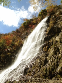 兵庫県最大規模を誇る名瀑「天滝」。「日本の滝百選」の一つ＝養父市