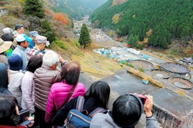 普段は見られない選鉱場跡を上から眺める見学者たち＝朝来市佐嚢