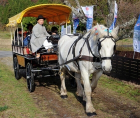 現存する「銀の馬車道」を走る馬車＝いずれも神河町吉冨