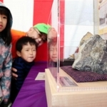 中瀬鉱山で採れた金の鉱石の展示。子どもたちも興味津々の様子だった＝養父市中瀬